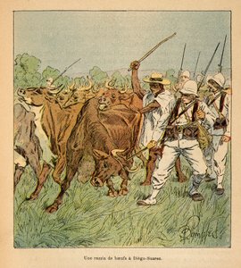 La guerre à Madagascar - Histoire anecdotique des expéditions françaises de 1885-1895 par Henri Galli dit Galllichet (1854-1922), illustrée par Louis Bombled (1862-1927) : À Diego-Suarez, l