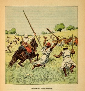 La Guerre à Madagascar - Histoire anecdotique des expéditions françaises de 1885-1895 par Henri Galli dit Gallichet (1854-1922), illustrée par Louis Bombled (1862-1927) : La chasse aux bœufs sauvages à Madagascar en 1895, Collection privée