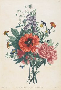 Collection de fleurs et de fruits peints d