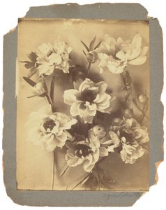 Tiffany Studios