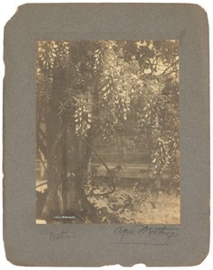 Tiffany Studios - Louis Comfort Tiffany