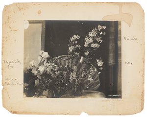 Tiffany Studios