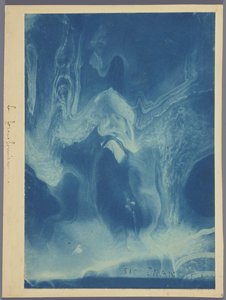 Le transformisme / Sic transit - Louis Ducos du Hauron (attributed to)