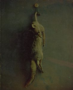 Renard, vers 1870