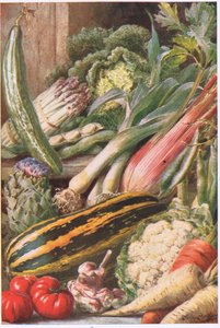 Légumes de Jardin, illustration de 
