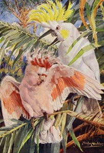 Le cacatoès (litho en couleur) - Louis Fairfax Muckley
