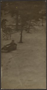 [Garçon faisant de la luge en bas d