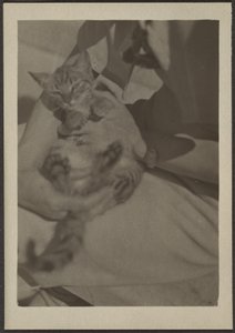 [Chat] - Louis Fleckenstein