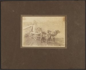 [Enfants sur une charrette tirée par des chiens]