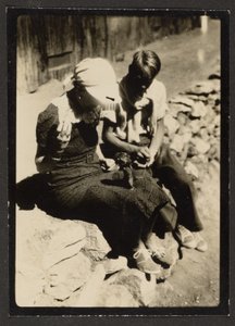 [Le tamia demande de la nourriture]