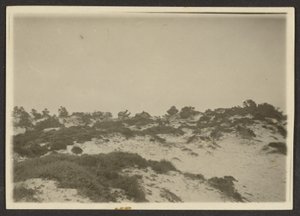 [Dunes] - Louis Fleckenstein