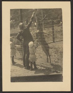 [Nourrir les cerfs] - Louis Fleckenstein