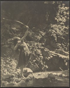 [Archer féminin dans les bois]