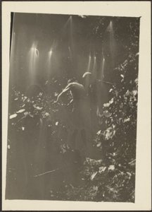 [Figures dans les bois]