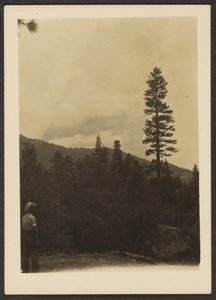 [Idyllwild] - Louis Fleckenstein