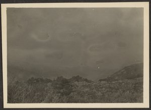 [Paysage] - Louis Fleckenstein