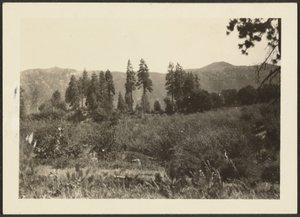 [Paysage] - Louis Fleckenstein