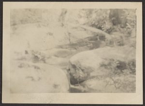 [Paysage] - Louis Fleckenstein