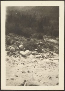 [Paysage] - Louis Fleckenstein