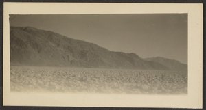 [Paysage] - Louis Fleckenstein