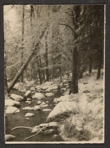 [Paysage] - Louis Fleckenstein
