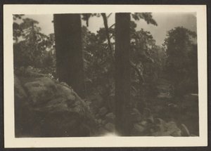 [Paysage]