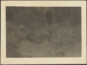 [Paysage] - Louis Fleckenstein