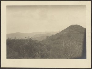 [Paysage] - Louis Fleckenstein