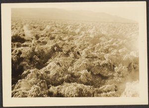 [Paysage] - Louis Fleckenstein