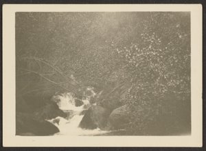 [Paysage] - Louis Fleckenstein