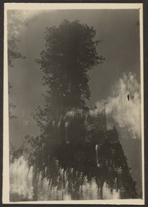 [Paysage] - Louis Fleckenstein