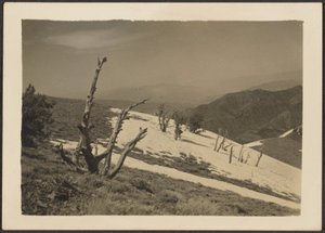 [Paysage]