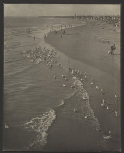 Newport Beach - Louis Fleckenstein