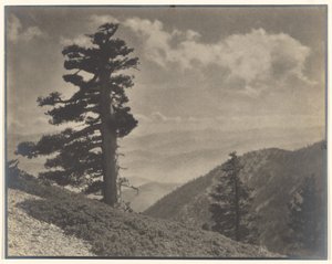 [Sur la crête vers Old Baldy] - Louis Fleckenstein