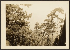 [Santa Rosa Peak] - Louis Fleckenstein