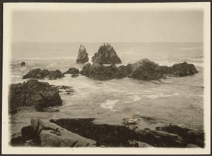 [Paysage marin] - Louis Fleckenstein