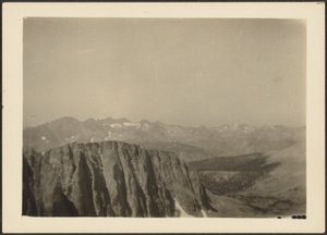 [Sequoia Park] - Louis Fleckenstein