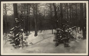 [Paysage enneigé] - Louis Fleckenstein