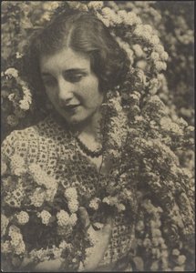 Spirea - Louis Fleckenstein