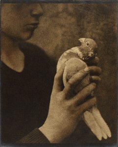 Le messager fatigué - Louis Fleckenstein