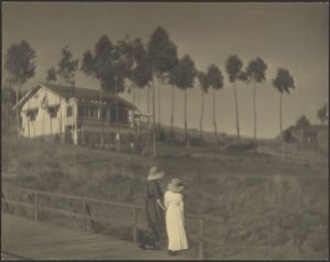 Le chalet blanc - Louis Fleckenstein