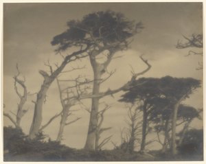 Frères jumeaux - Carmel