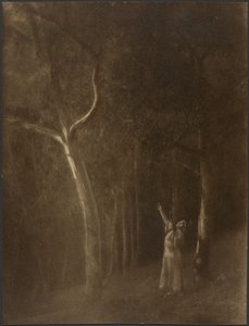 [Femme priant au milieu des arbres] - Louis Fleckenstein
