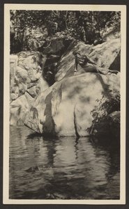 [Femme au bord du lac] - Louis Fleckenstein