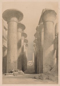 Égypte et Nubie : Volume I - N° 20, Grande Salle à Karnak, Thèbes - Louis Haghe