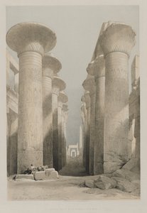 Égypte et Nubie, Volume I : Thèbes, Grande Salle à Karnac, 1848