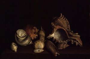 Nature morte de coquillages sur un rebord