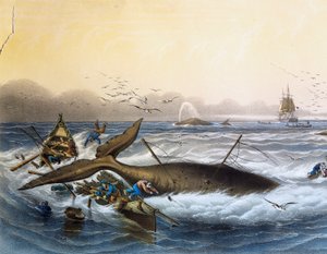 Chasse à la baleine dans les mers du Sud, lithographie en couleur par Louis Lebreton - Louis Le Breton
