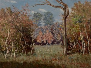 Paysage d