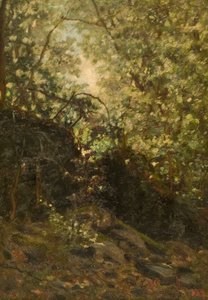 Nuit à travers la forêt